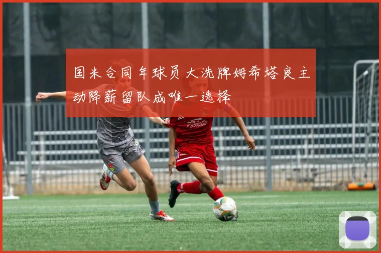 国米合同年球员大洗牌姆希塔良主动降薪留队成唯一选择