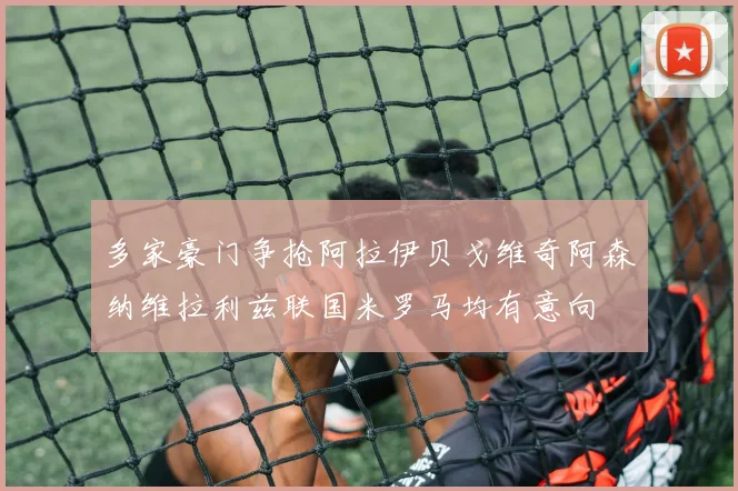 多家豪门争抢阿拉伊贝戈维奇阿森纳维拉利兹联国米罗马均有意向