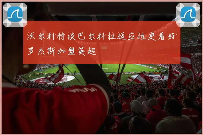 沃尔科特谈巴尔科拉适应性更看好罗杰斯加盟英超