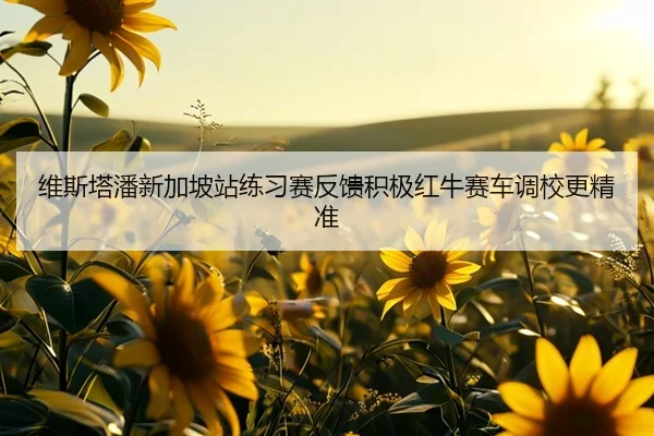 维斯塔潘新加坡站练习赛反馈积极红牛赛车调校更精准
